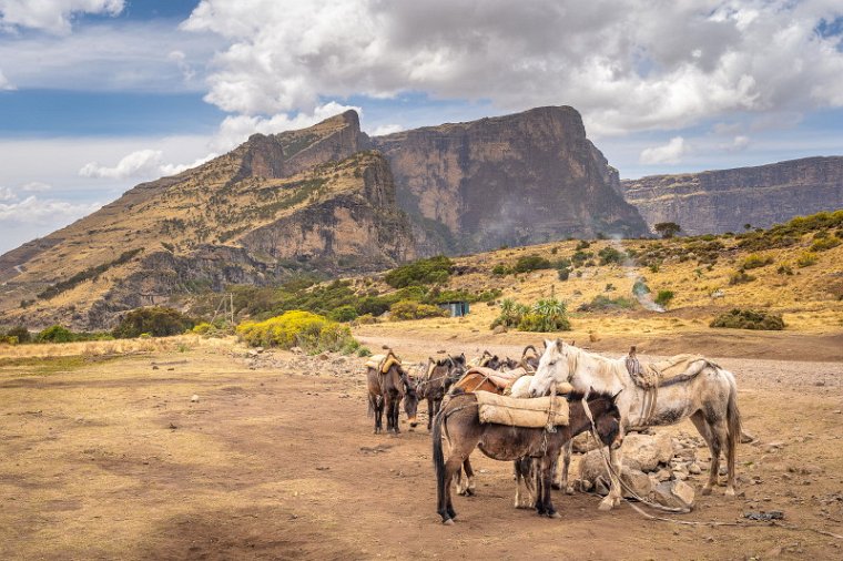 148 Simien Mountains.jpg